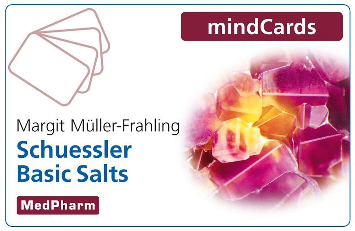 Schuessler Basic Salts