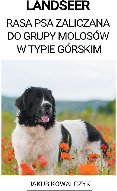 Landseer (Rasa Psa Zaliczana do Grupy Molosów w Typie Górskim)