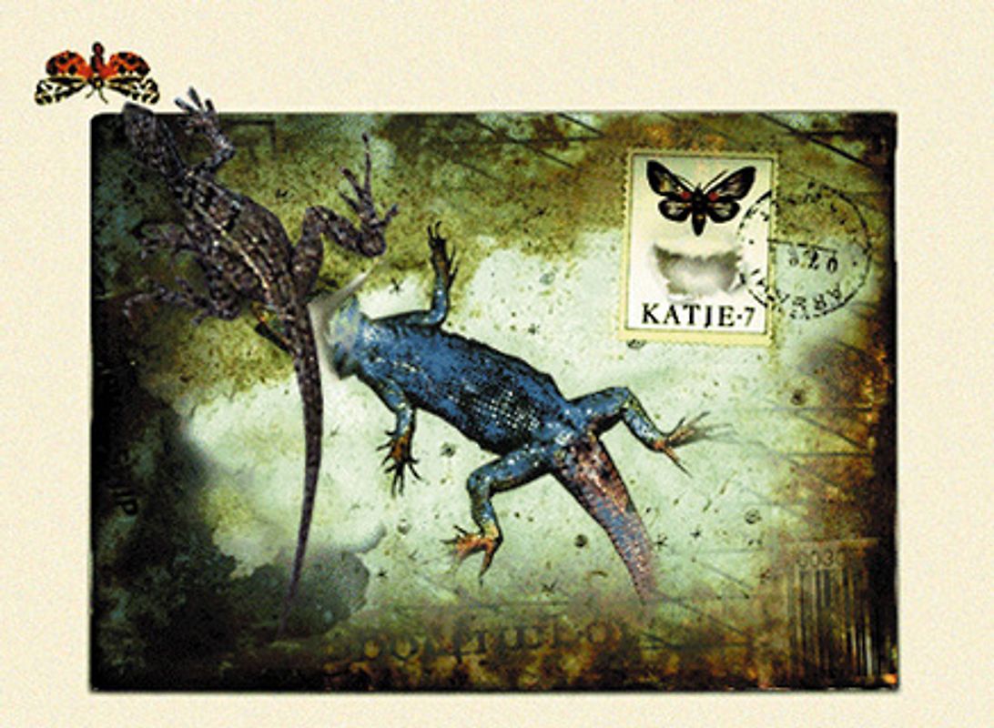 Ceremony Of Innocence MacOS