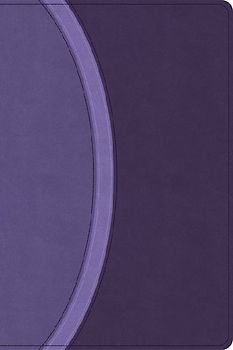 CSB Rainbow Study Bible, Purple Leathertouch (Limited Edition)