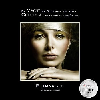 BILDANALYSE nach dem Vier-Augen-Modell