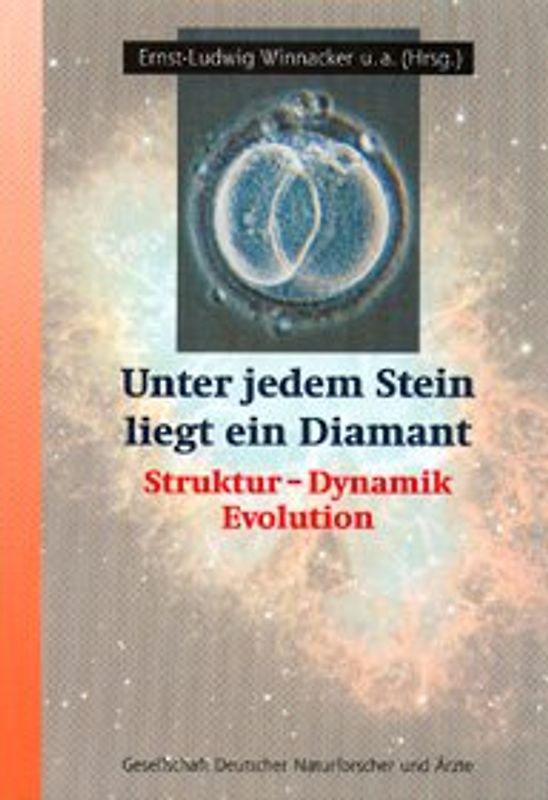 Unter jedem Stein liegt ein Diamant