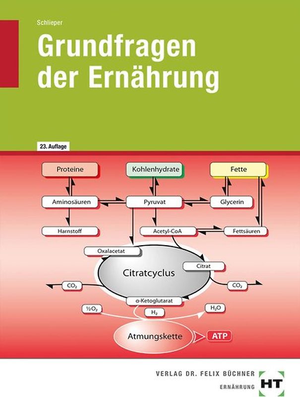Grundfragen der Ernährung