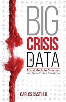 Big Crisis Data