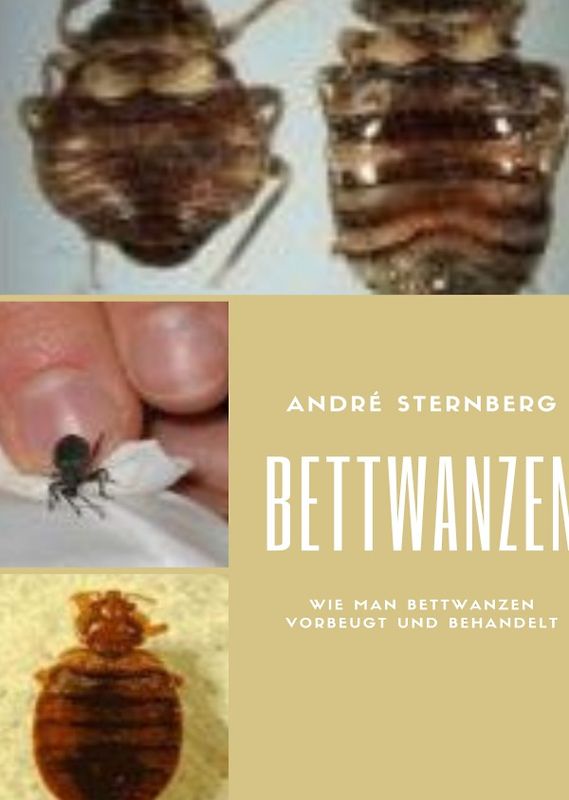 Bettwanzen