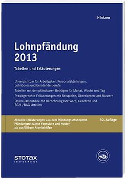 Lohnpfändung 2013