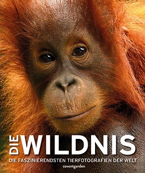 Die Wildnis
