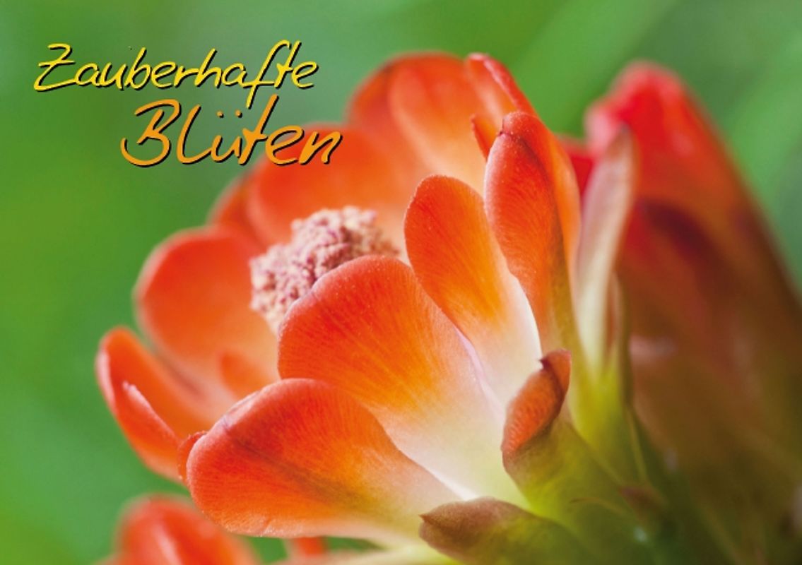 Zauberhafte Blüten (Tischaufsteller DIN A5 quer)