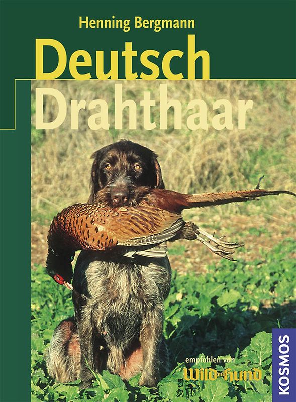 Deutsch-Drahthaar