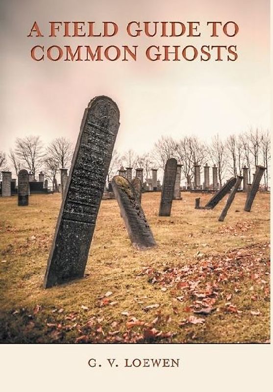 A Field Guide to Common Ghosts