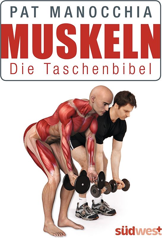 Muskeln - Die Taschenbibel