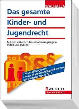 Das gesamte Kinder- und Jugendrecht Ausgabe 2011