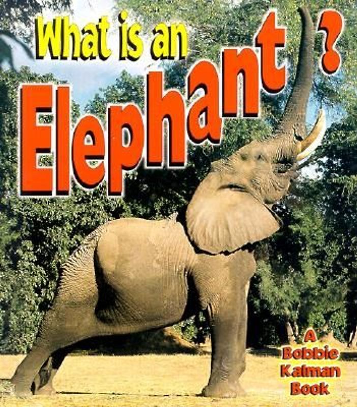 What is an Elephant?