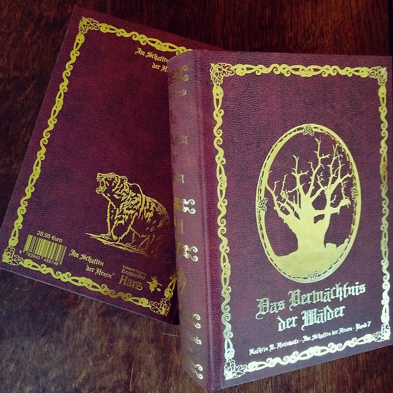 Im Schatten der Hexen VII