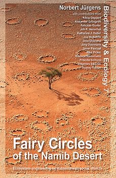 Fairy Circles of the Namib Desert