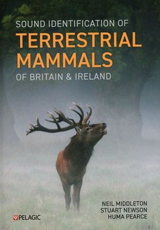 Sound Identification of Terrestrial Mammals of Britain & Ireland