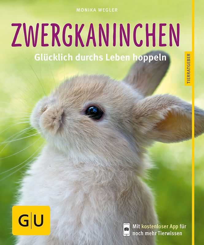 Zwergkaninchen