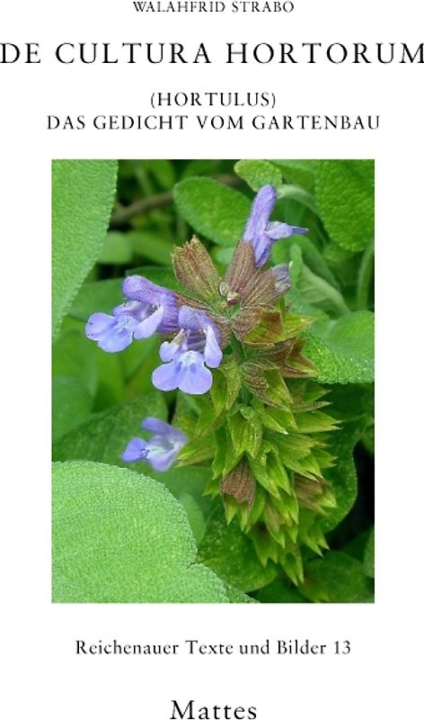 De cultura hortorum (Hortulus)