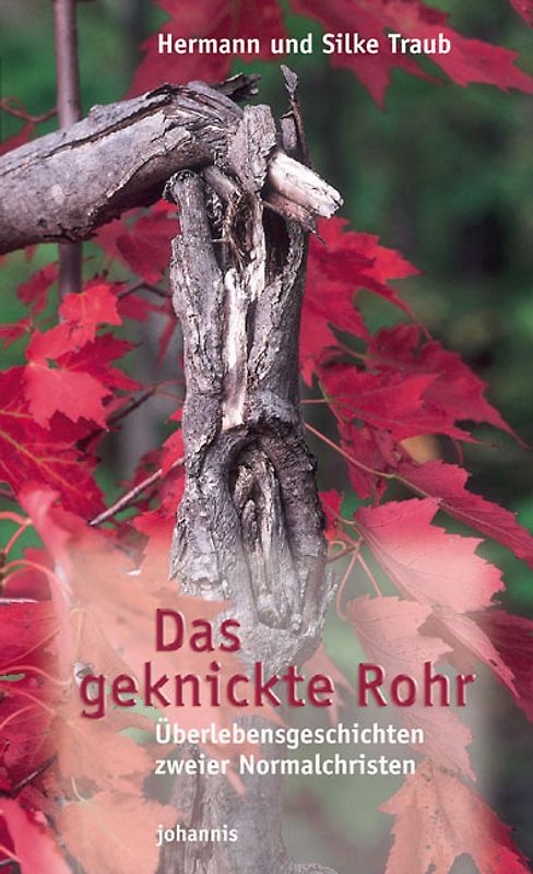Das geknickte Rohr
