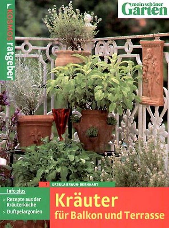 Kräuter für Balkon und Terrasse