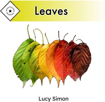 Leaves: Montessori Readers