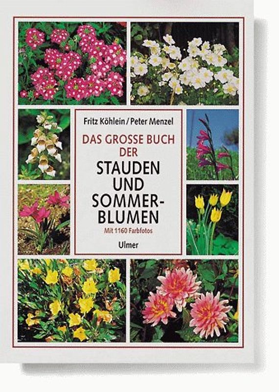 Das grosse Buch der Stauden und Sommerblumen