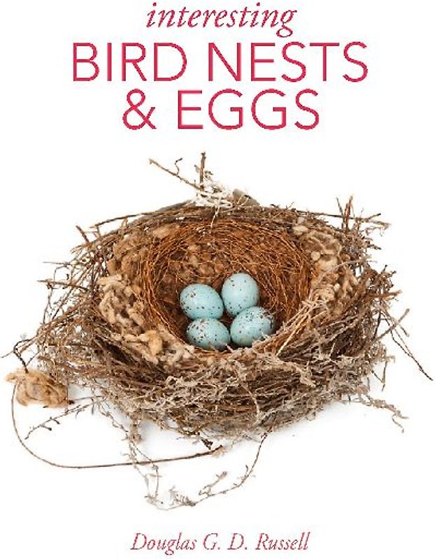 Interesting Bird Nests and Eggs