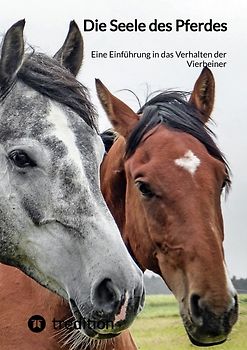 Die Seele des Pferdes