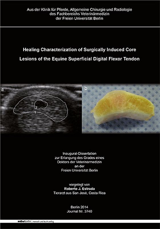 Healing Characterization of Surgically Induced Core Lesions of the Equine Superficial Digital Flexor Tendon