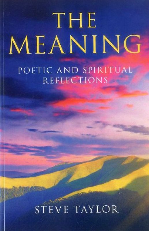 The Meaning: Poetic and Spiritual Reflections - Taylor, Steve