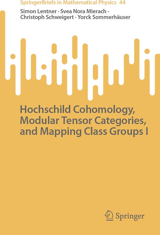 Hochschild Cohomology, Modular Tensor Categories, and Mapping Class Groups I