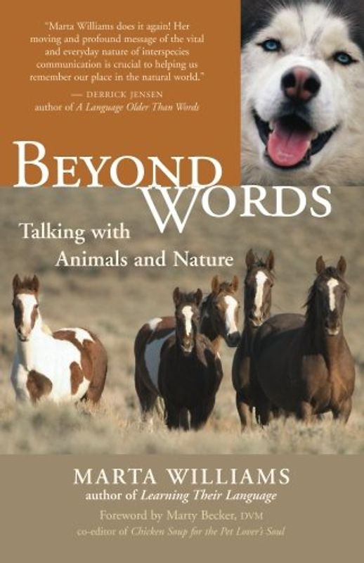 Beyond Words: Talking with Animals and Nature: Communicating Wtih Animals and Nature - Marta Williams