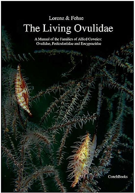 The living Ovulidae