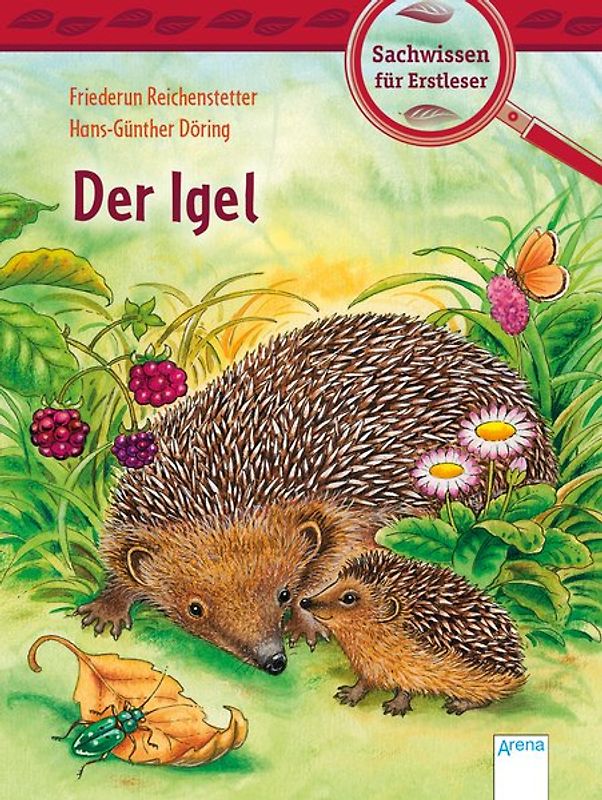Der Igel