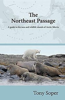 The Northeast Passage