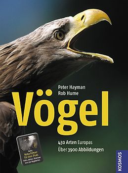 Vögel