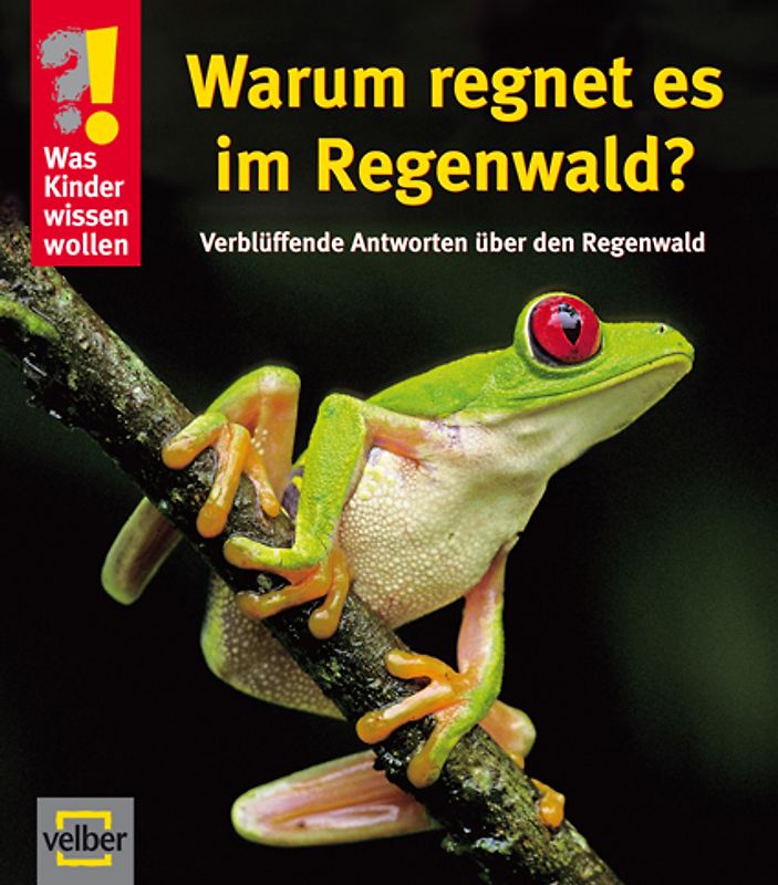 Warum regnet es im Regenwald?