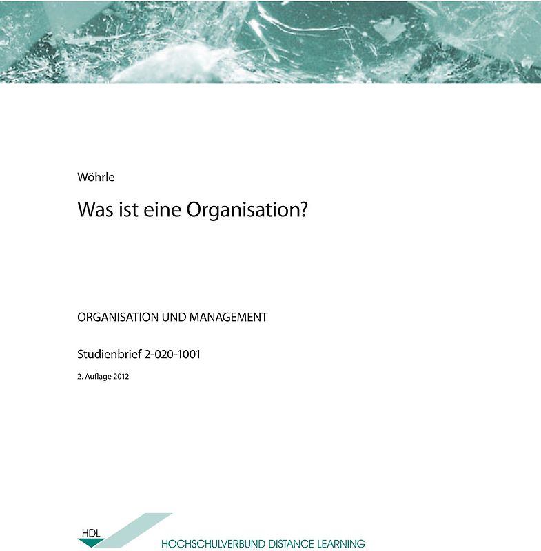 Was ist eine Organisation?