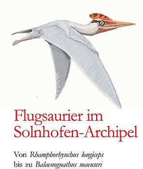 Flugsaurier im Solnhofen-Archipel