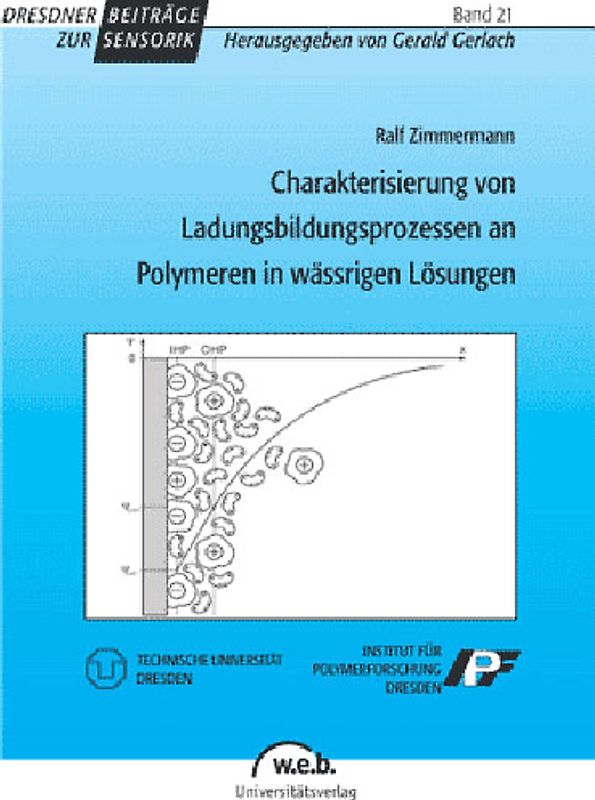 Charakterisierung von Ladungsbildungsprozessen an Polymeren in wässrigen Lösungen