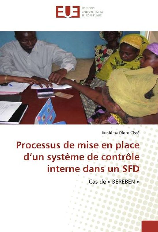 Processus de mise en place d'un système de contrôle interne dans un SFD