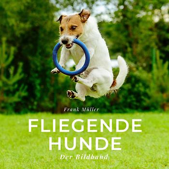 Fliegende Hunde