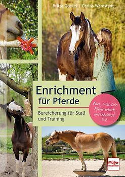Enrichment für Pferde