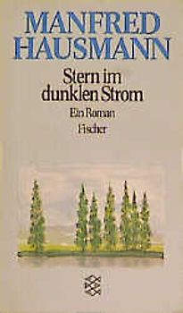 Stern im dunklen Strom