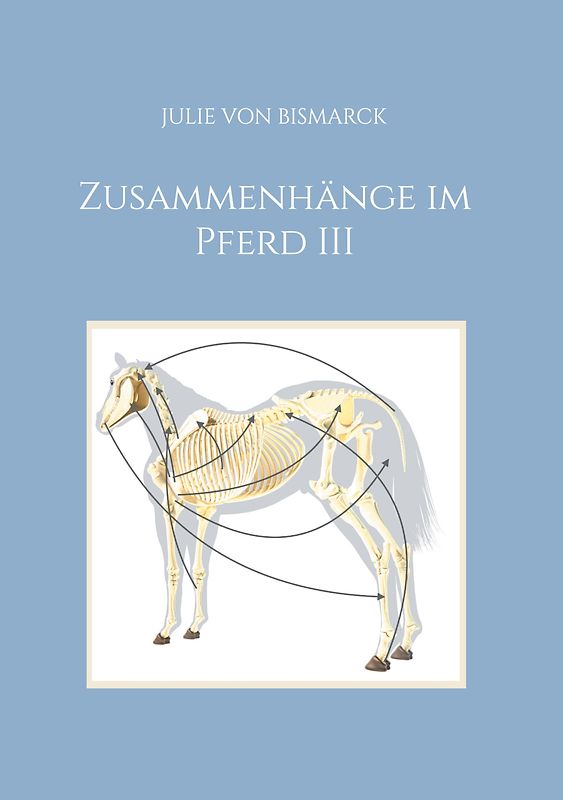Zusammenhänge im Pferd III