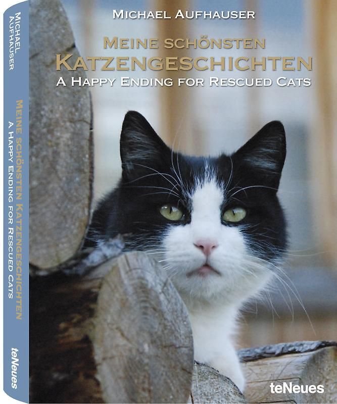 Meine schönsten Katzengeschichten