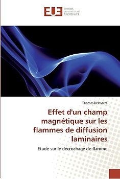 Effet d'un champ magnétique sur les flammes de diffusion laminaires