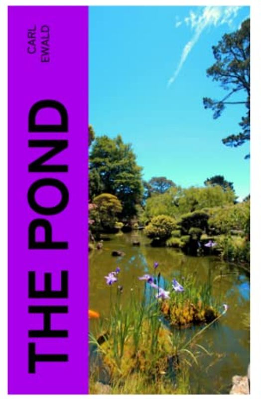 The Pond