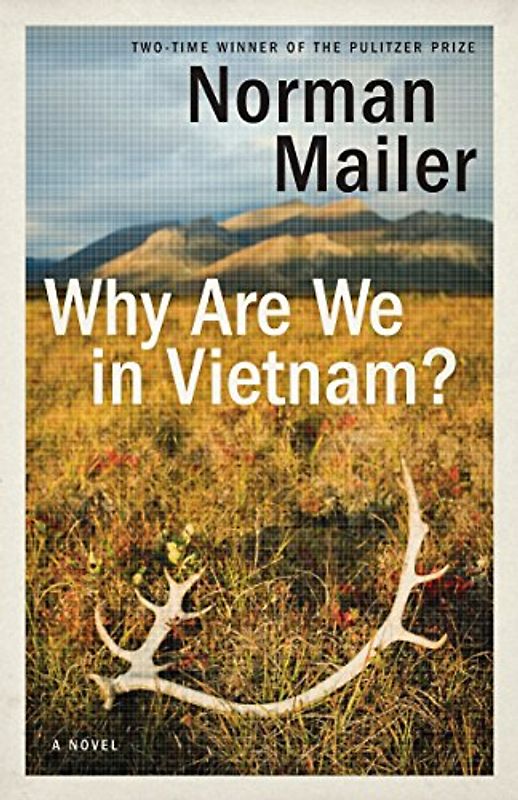 Why Are We in Vietnam?: A Novel