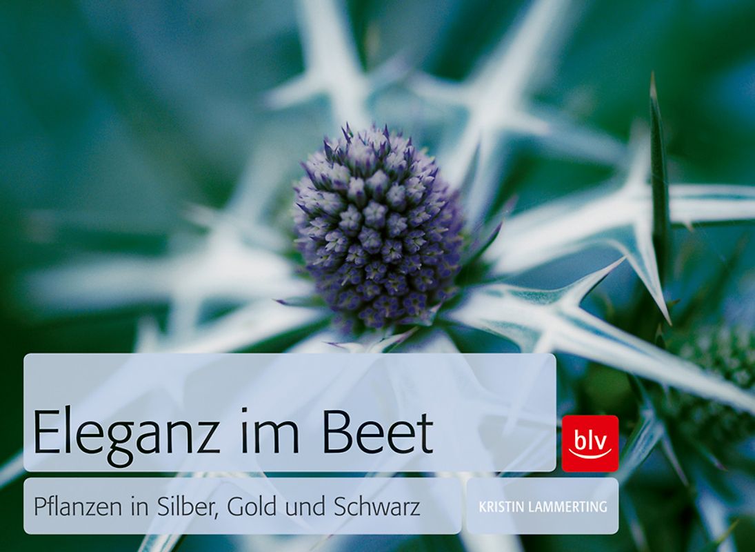 Eleganz im Beet